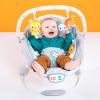 imageBright Starts Comfy Baby Bouncer Soothing Vibrations Infant Seat  Taggies Music Removable Toy Bar 06 Months Up to 20 lbs Whimsical WildWhimsical Wild