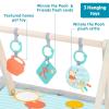 imageBright Starts Disney Baby The Little Mermaid Twinkle Trove LightUp Musical Baby Activity Gym with Tummy Time Pillow NewbornWinnie the Pooh