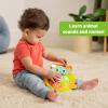imageBright Starts Lights and Colors Driver Toy Steering Wheel with Car Sounds for Pretend Play  Green 6 Months and upSafari Surprise