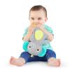 imageBright Starts Rattle ampamp Teethe Wrist Pals Toy Unicorn ampamp Llama Newborn 2 CountGray