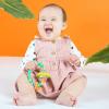 imageBright Starts Rattle and Teethe Chillable Baby Teether Pretty in Pink Ages 3 Months 9Piece Gift Set