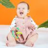 imageBright Starts Rattle and Teethe Chillable Baby Teether Pretty in Pink Ages 3 Months Grab  Spin Rattle
