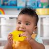 imageBright Starts Rattle and Teethe Chillable Baby Teether Pretty in Pink Ages 3 Months Teeth Relief