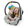 imageBright Starts Sesame Street Cookie Mania Teether OnTheGo TakeAlong Toy Ages 312 Months