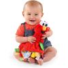imageBright Starts Sesame Street Snuggles with Elmo Babys First Soothing Blanket Ages 012 Months1 Count Pack of 1