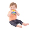 image:imageBright Starts Disney Baby Winnie the Pooh Silly Ole Bundle Gift Set 5Piece Sensory Toy Set with Rattle Teether Oball amp Flash Cards Developmental Baby Toys 012 Months Newborn GiftTropical Teethe Rattle  Teether