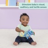 image:imageBright Starts Disney Baby Winnie the Pooh Silly Ole Bundle Gift Set 5Piece Sensory Toy Set with Rattle Teether Oball amp Flash Cards Developmental Baby Toys 012 Months Newborn GiftTummy Tumble Activity Toy