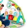 image:imageBright Starts Wild Rainforest Foldaway Activity Gym with Carry Bag for Storage amp Travel Blue Green Jungle Play Gym Newborns amp UpGreen