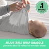 image:imageSwaddleMe by Ingenuity Original Swaddle 100 Cotton Improves Sleep amp Calms Startle Reflex 03 Months 10 TOG 2Pack Baby Swaddle Blanket  Winnie The PoohMinnie 2pack