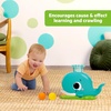 image:imageBright Starts Spin n Chase Bug Ball Popper Toy with Lights amp Music Crawling Baby Toy Encourages Movement amp Motor Skills Unisex 6 MonthsWhale